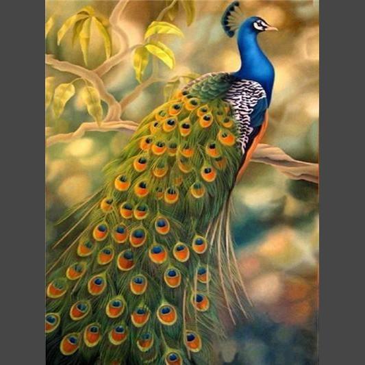 Pfau 03 Diamond Painting Diamant Malerei-DiamondpaintingX.ch